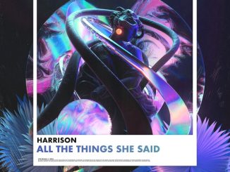 All the Things She Said - Harrison
