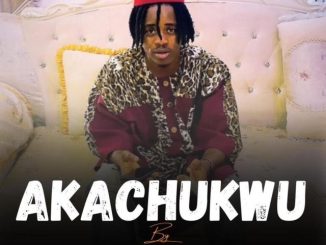 AKACHUKWU - NWAEZE DCOMRADEKING