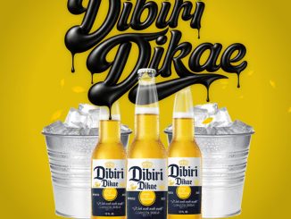 Dibiri Dikae - SdoDiRoba ft KayGee Muziq, Ras Chief, Double DB, Tkay Music, Skxyy, EzzyMusica & DJ Kgauza